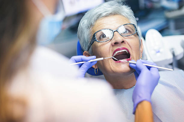  Blasdell, NY Holistic Dental Services Pros